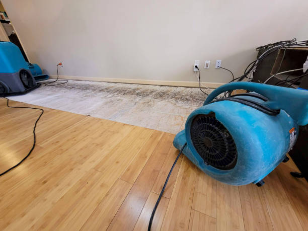 Professional Basement Flood Cleanup technician working in Danville, CA